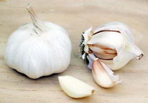 How to grow garlic