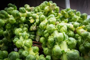 How to grow brussel sprouts