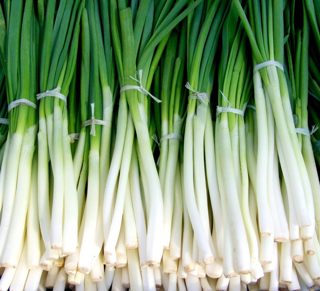 How to grow green onions