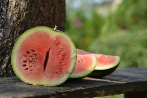 How to grow watermelon